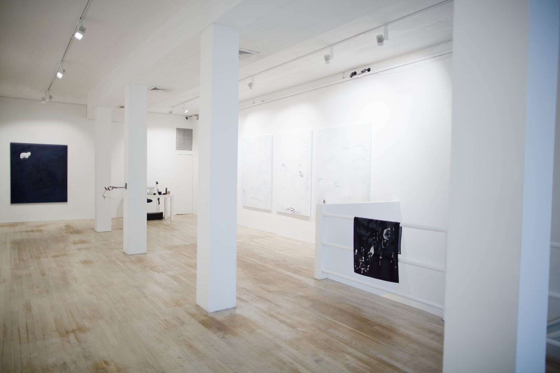 Installation view from a native fear…a featureless protagonist