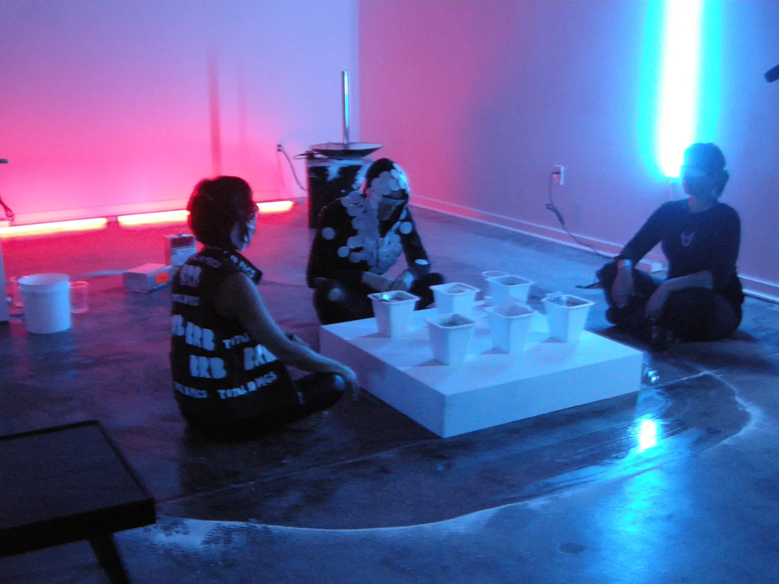 BRB/Total Id Pigs performance at Re:View Contemporary