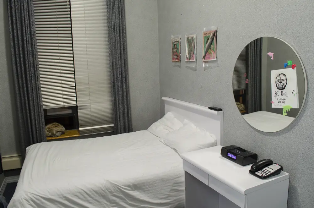 Cultural Affair hotel room installation view