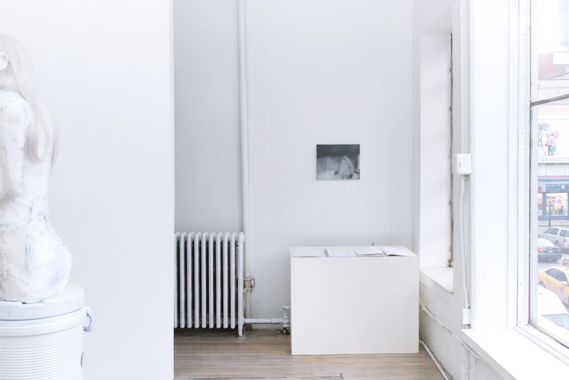 my tree stays tree installation view 6