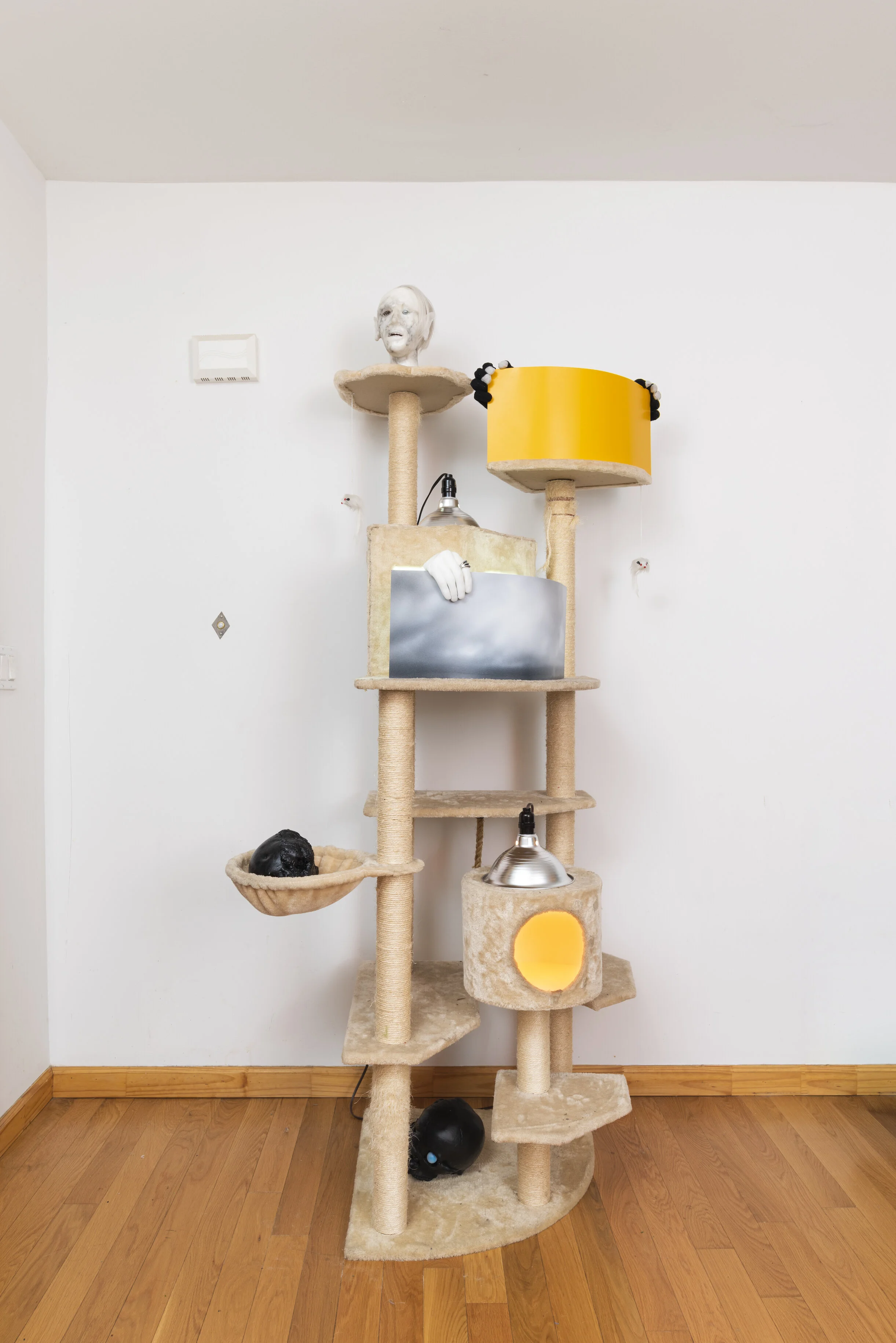 Sunsetting installation view 1