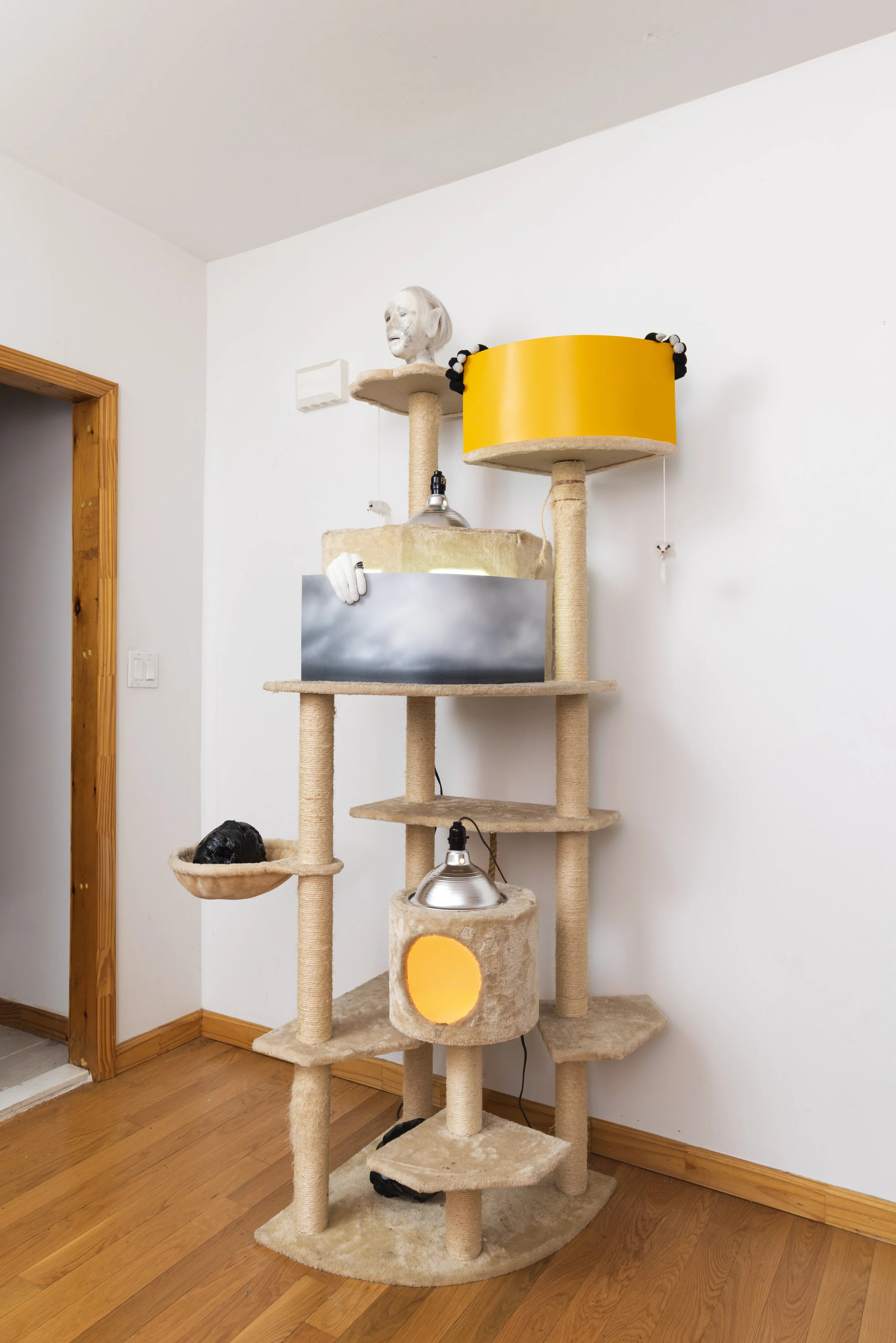 Sunsetting installation view 2