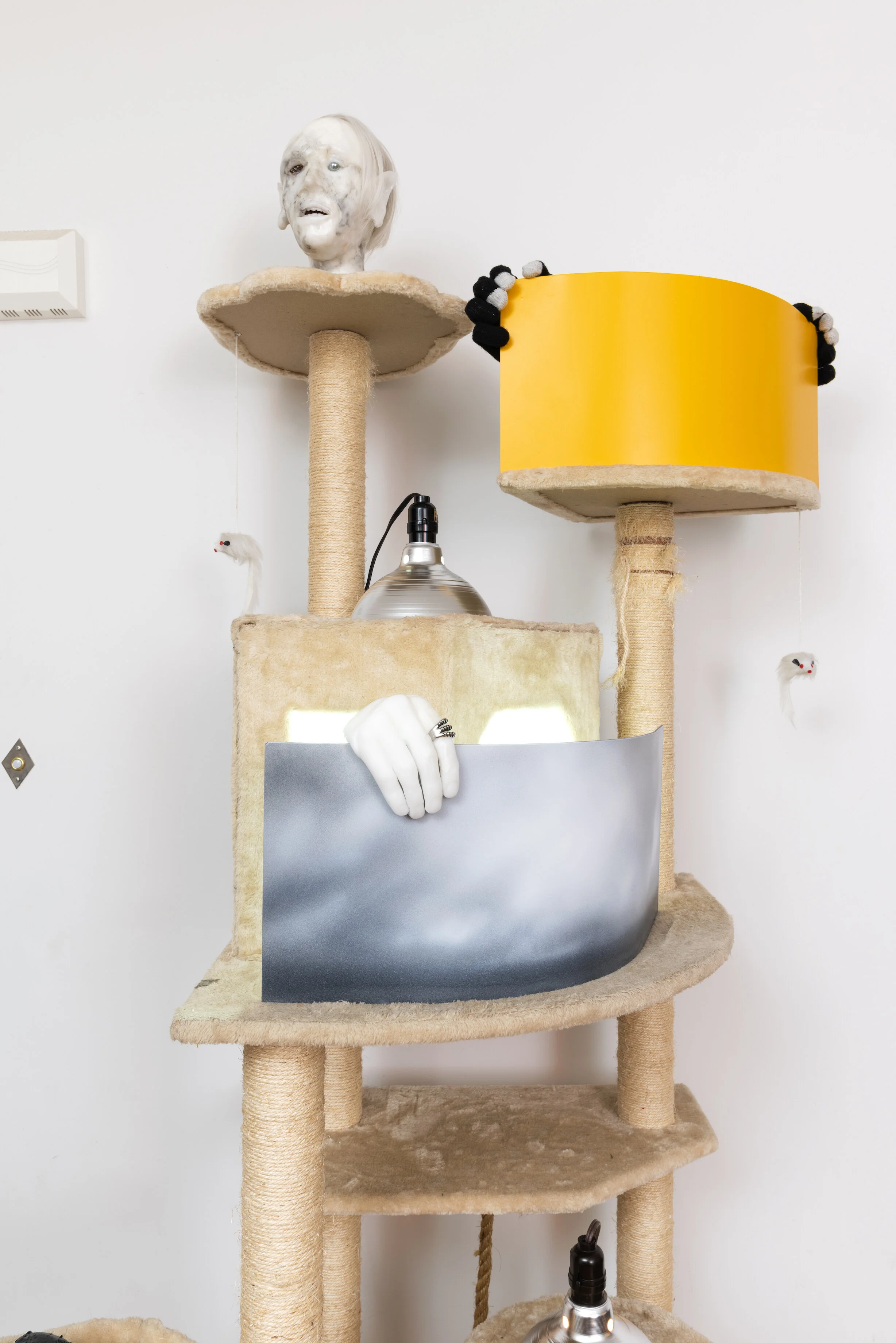 Sunsetting installation view 4