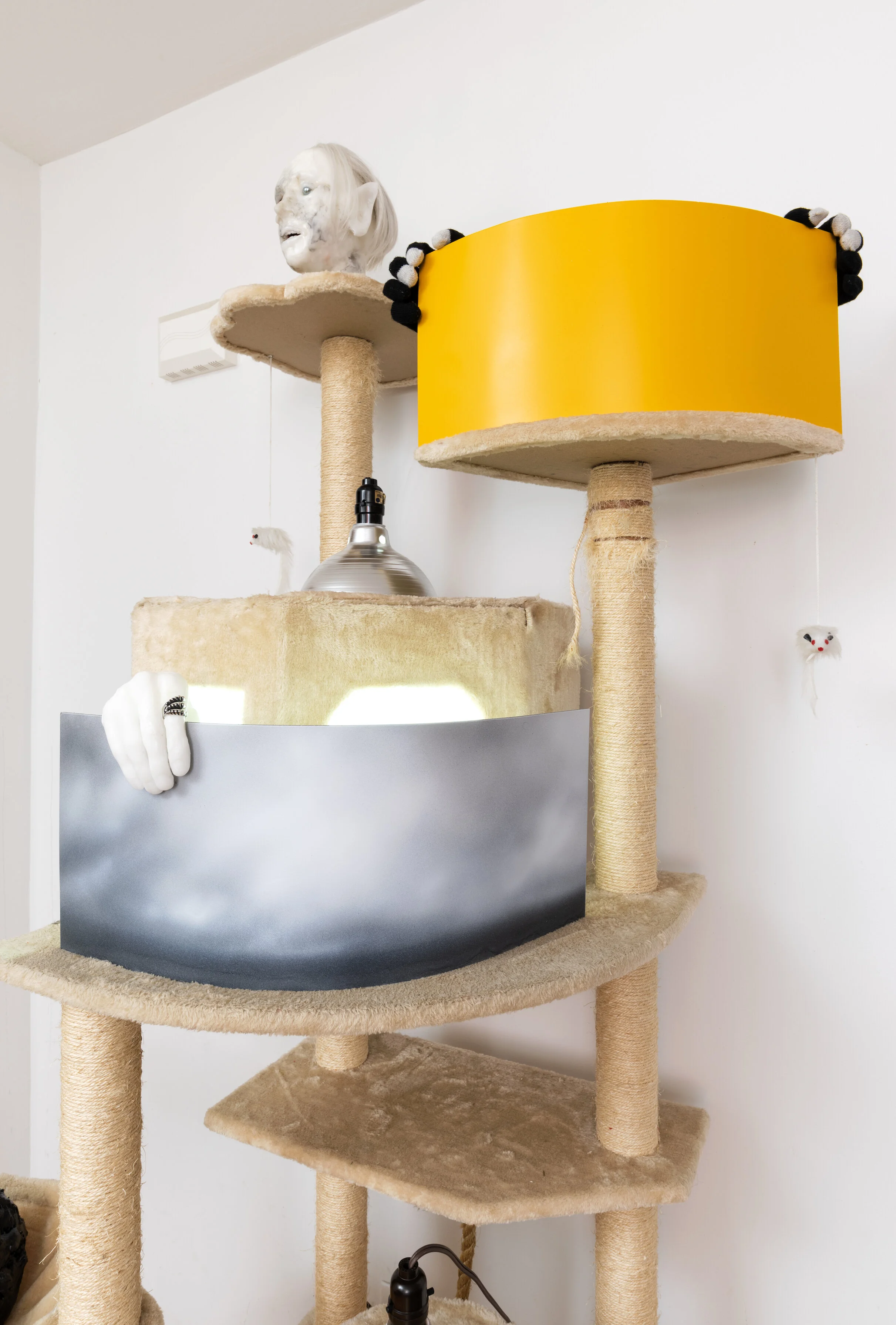 Sunsetting installation view 5